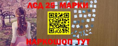 гидропоника Будённовск