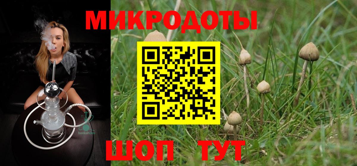 Псилоцибиновые грибы мицелий Семилуки
